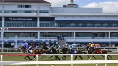 El Championship Meet de Gulfstream Park inicia la semana con diez carreras El Championship Meet de Gulfstream Park inicia la semana con diez carreras