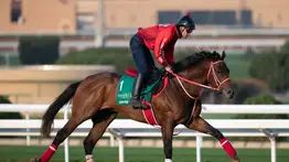 La prueba más rica del mundo: Forever Young, campeón regente de la Saudi Cup (G1) ejercitó esta mañana en Riad