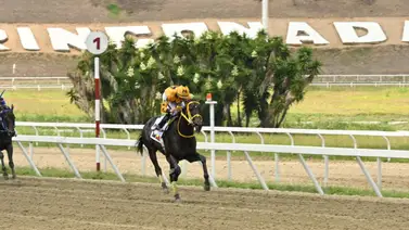 Felicidad pura: La reacción de Juan Carlos Ávila tras la victoria de Gran Yaco el domingo en La Rinconada Felicidad pura: La reacción de Juan Carlos Ávila tras la victoria de Gran Yaco el domingo en La Rinconada