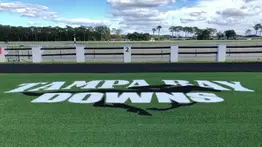 Pronósticos Tampa Bay Downs: picks gratis y el dato clave para el miércoles 11 de febrero