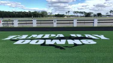 Pronósticos Tampa Bay Downs: picks gratis y el dato clave para el miércoles 11 de febrero Pronósticos Tampa Bay Downs: picks gratis y el dato clave para el miércoles 11 de febrero