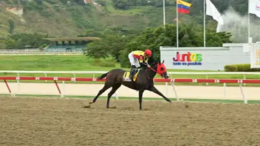 Luis Haddad confía en Fast Sensations: "Esperamos una carrera impecable este domingo en La Rinconada" Luis Haddad confía en Fast Sensations: "Esperamos una carrera impecable este domingo en La Rinconada"