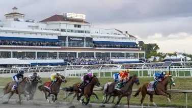 Pronósticos Gulfstream Park: picks gratis y el dato clave para el jueves 12 de febrero Pronósticos Gulfstream Park: picks gratis y el dato clave para el jueves 12 de febrero