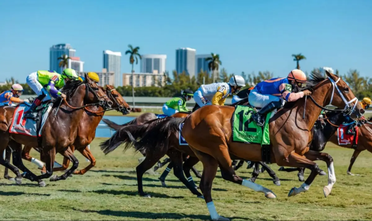Los mejores briseos: anota los caballos que volaron para este jueves en Gulfstream Park