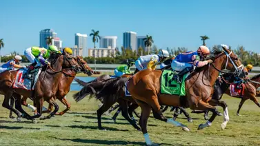 Los mejores briseos: anota los caballos que volaron para este jueves en Gulfstream Park Los mejores briseos: anota los caballos que volaron para este jueves en Gulfstream Park