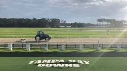 Tampa Bay Downs: Miércoles de criollos al ganar seis de las ocho pruebas