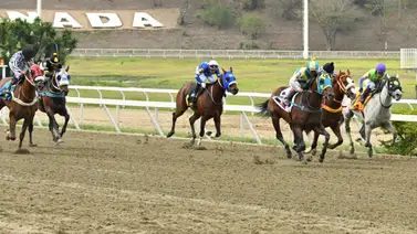 ¿Cambio de suerte? El ejemplar que siempre sale "cotizado" se estrena con nuevo entrenador en La Rinconada ¿Cambio de suerte? El ejemplar que siempre sale "cotizado" se estrena con nuevo entrenador en La Rinconada