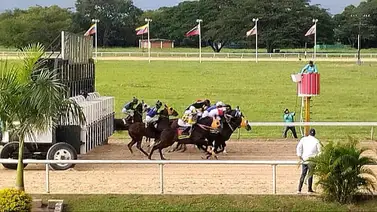 Datos de última hora para el Hipódromo Nacional de Valencia 13-2-2026 Datos de última hora para el Hipódromo Nacional de Valencia 13-2-2026