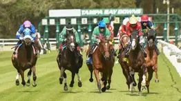 Pronósticos Tampa Bay Downs: picks gratis y el dato clave para el jueves 12 de febrero