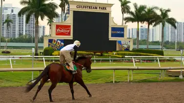 ¿El fin del turf en Florida? Aprueban ley que amenaza las carreras en vivo en Gulfstream Park ¿El fin del turf en Florida? Aprueban ley que amenaza las carreras en vivo en Gulfstream Park