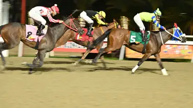 ¡A cobrar en grande! Con el ajuste fenómeno de una sorpresa de Gaceta Hípica disparará los dividendos del 5y6 Nocturno ¡A cobrar en grande! Con el ajuste fenómeno de una sorpresa de Gaceta Hípica disparará los dividendos del 5y6 Nocturno