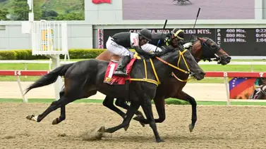 ¡Trueno en La Rinconada! Revelamos el nombre del ejemplar que se convirtió en el "run-run" de las cuadras ¡Trueno en La Rinconada! Revelamos el nombre del ejemplar que se convirtió en el "run-run" de las cuadras