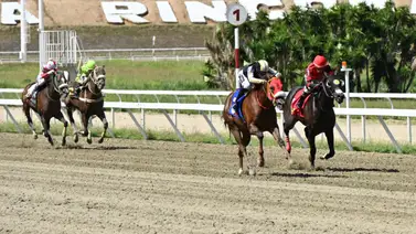 ¡Venezuela entera lo sabe! La yegua que paralizará las apuestas y no puede perder este domingo ¡Venezuela entera lo sabe! La yegua que paralizará las apuestas y no puede perder este domingo