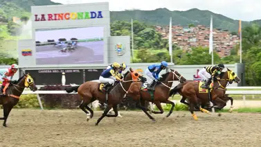 El cuadro del 5y6 corre peligro: Un ejemplar "tapado" ajusta contenido para ganar el sábado en La Rinconada El cuadro del 5y6 corre peligro: Un ejemplar "tapado" ajusta contenido para ganar el sábado en La Rinconada