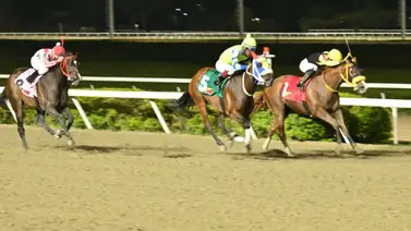 Si la esperabas, es ahora: El ejemplar que destaca tras su reciente ejercicio en La Rinconada Si la esperabas, es ahora: El ejemplar que destaca tras su reciente ejercicio en La Rinconada