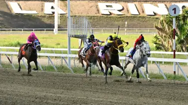 ¡Increíble pero cierto! Mira la curiosidad numérica que rodea al dato más corrido para el 5y6 dominical ¡Increíble pero cierto! Mira la curiosidad numérica que rodea al dato más corrido para el 5y6 dominical