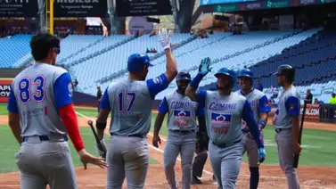 Colombia es finalista de la Serie de las Américas gracias a un pelotero de Leones del Caracas Colombia es finalista de la Serie de las Américas gracias a un pelotero de Leones del Caracas