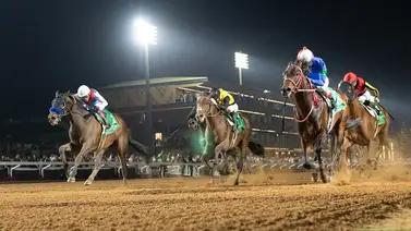 ¿Peligra el reinado de Forever Young? Los 4 colosos que buscan arrebatarle la Saudi Cup 2026 ¿Peligra el reinado de Forever Young? Los 4 colosos que buscan arrebatarle la Saudi Cup 2026