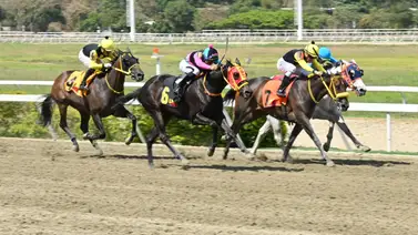 La Rinconada: Datos de Última Hora para el 15-02-2026 La Rinconada: Datos de Última Hora para el 15-02-2026