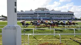 Pronósticos Gulfstream Park: picks gratis y el dato clave para el viernes 13 de febrero