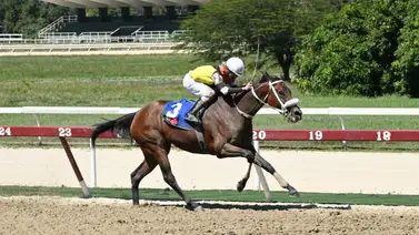 ¡Inalcanzable! Importante stud venezolano logró victoria en el Clásico Segula C ¿De quién se trata? ¡Inalcanzable! Importante stud venezolano logró victoria en el Clásico Segula C ¿De quién se trata?