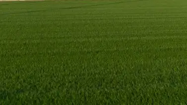 Barzalona es superior y domina en la grama de Arabia Barzalona es superior y domina en la grama de Arabia