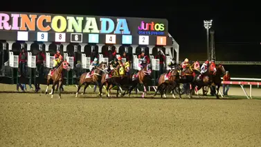 Conoce los retiros oficiales para la Reunión N°7 del 14-02-2026 en La Rinconada Conoce los retiros oficiales para la Reunión N°7 del 14-02-2026 en La Rinconada