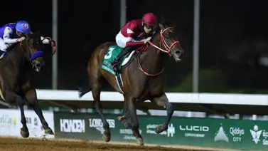 Forever Young arrasa en la Saudi Cup (G1) por segundo año consecutivo Forever Young arrasa en la Saudi Cup (G1) por segundo año consecutivo
