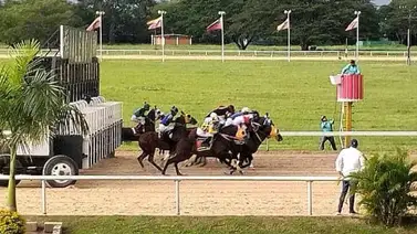 ¿Qué pasó con Tour de France? Los detalles sobre el favorito de este viernes en Valencia ¿Qué pasó con Tour de France? Los detalles sobre el favorito de este viernes en Valencia