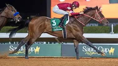 De Japón para la historia: Los triunfos que convierten a Forever Young en una leyenda de oro De Japón para la historia: Los triunfos que convierten a Forever Young en una leyenda de oro