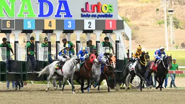 ¡Atención hípicos! Cambio de última hora en la tercera válida del 5y6 este domingo en La Rinconada ¡Atención hípicos! Cambio de última hora en la tercera válida del 5y6 este domingo en La Rinconada