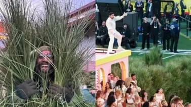 Disfraz de arbusto del espectáculo de Bad Bunny fue puesto en venta Disfraz de arbusto del espectáculo de Bad Bunny fue puesto en venta