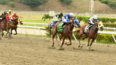 Fallo de los comisarios: El uso desmedido del látigo deja con multa a jinete profesional en La Rinconada Fallo de los comisarios: El uso desmedido del látigo deja con multa a jinete profesional en La Rinconada