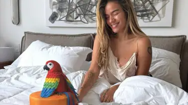 Karol G armó tremenda celebración por su cumpleaños 35 Karol G armó tremenda celebración por su cumpleaños 35