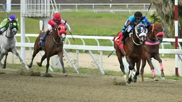 Infortunio en el 5y6 nocturno: El dato más corrido sufrió un percance decisivo en La Rinconada Infortunio en el 5y6 nocturno: El dato más corrido sufrió un percance decisivo en La Rinconada