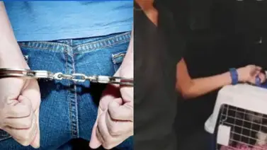 Ministerio Público imputó a una mujer acusada por dos actrices venezolanas Ministerio Público imputó a una mujer acusada por dos actrices venezolanas