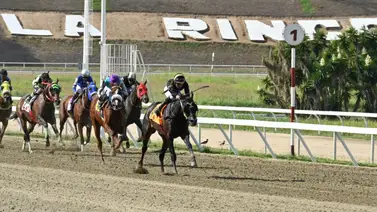 Más de $350 mil dólares en premios a repartir en la reunión nueve en La Rinconada Más de $350 mil dólares en premios a repartir en la reunión nueve en La Rinconada