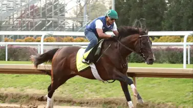 Primer ejercicio: Sovereignty Caballo del Año 2025 ejercitó con miras para reaparecer como ejemplar maduro Primer ejercicio: Sovereignty Caballo del Año 2025 ejercitó con miras para reaparecer como ejemplar maduro