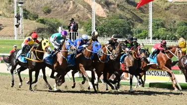 Yegua que en su última escoltó a las mejores corredoras en el Clásico Internacional Emisael Jaramillo regresa al óvalo de La Rinconada Yegua que en su última escoltó a las mejores corredoras en el Clásico Internacional Emisael Jaramillo regresa al óvalo de La Rinconada