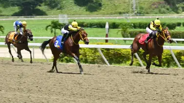 168 días después: Hija de Manchester retorna el domingo a La Rinconada con monta de lujo y nueva cuadra ¿De quién se trata? 168 días después: Hija de Manchester retorna el domingo a La Rinconada con monta de lujo y nueva cuadra ¿De quién se trata?