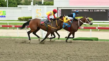 ¡Prohibido olvidarla! La yegua que reaparece y ya es número puesto en los acumulados de la R09 ¡Prohibido olvidarla! La yegua que reaparece y ya es número puesto en los acumulados de la R09