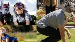 ¿Qué son los Therian? Conoce este fenómeno viral y su posible llegada a Venezuela