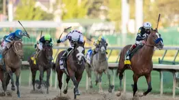 ¿Qué opina la élite del hipismo mundial sobre Venezuela? Un jinete estelar rompe el silencio sobre el público venezolano