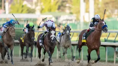 ¿Qué opina la élite del hipismo mundial sobre Venezuela? Un jinete estelar rompe el silencio sobre el público venezolano ¿Qué opina la élite del hipismo mundial sobre Venezuela? Un jinete estelar rompe el silencio sobre el público venezolano