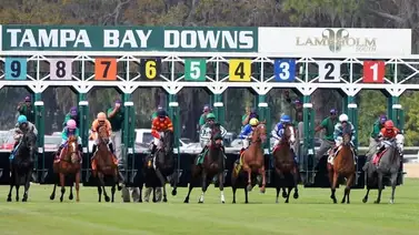 Pronósticos Tampa Bay Downs: Picks gratis y el Dato Clave para el miércoles 18 de febrero Pronósticos Tampa Bay Downs: Picks gratis y el Dato Clave para el miércoles 18 de febrero