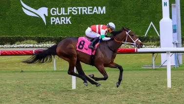 Rumbo a las 6.000: Javier Castellano busca mantener la buena racha de victorias en Gulfstream Park Rumbo a las 6.000: Javier Castellano busca mantener la buena racha de victorias en Gulfstream Park