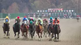 Pronósticos Parx Racing: picks gratis y el dato clave para el miércoles 18 de febrero