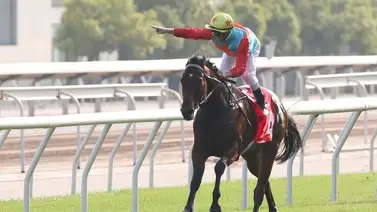 ¡El Crack está de regreso! Ka Ying Rising, la historia llama por las 18 victorias consecutivas ¡El Crack está de regreso! Ka Ying Rising, la historia llama por las 18 victorias consecutivas