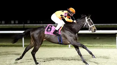 Tendrán que correrle: Map of the Moon se juega el invicto en el Cincinnati Trophy Stakes de $100,000 camino hacia los Lirios en Kentucky Tendrán que correrle: Map of the Moon se juega el invicto en el Cincinnati Trophy Stakes de $100,000 camino hacia los Lirios en Kentucky