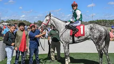 ¡Oficial! Ariana Valentina se convierte en el primer ejemplar ganador del segundo siglo de carreras en Tampa Bay Downs ¡Oficial! Ariana Valentina se convierte en el primer ejemplar ganador del segundo siglo de carreras en Tampa Bay Downs